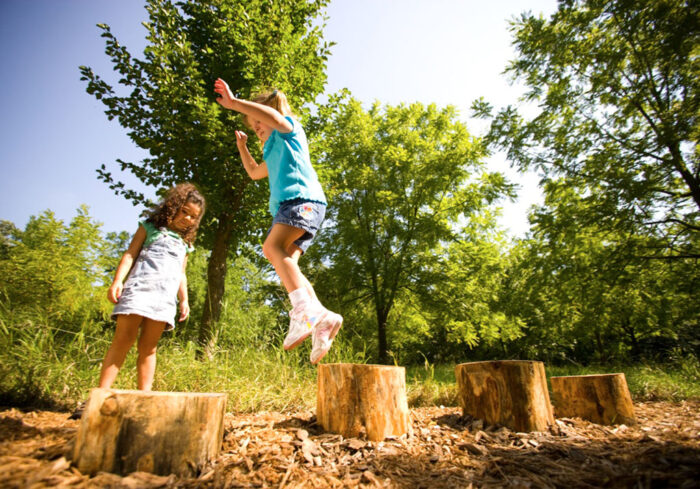 Log Steps, set of 4 - Image 3