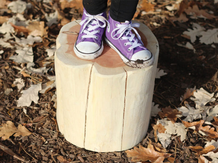 Log Steps, set of 4 - Image 2