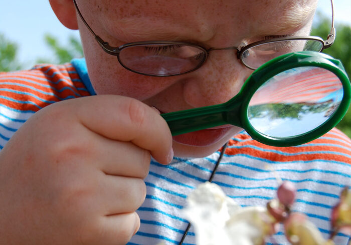 Magnifying Glasses, set of 10 - Image 3